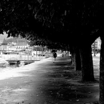11082010-_DSC0503